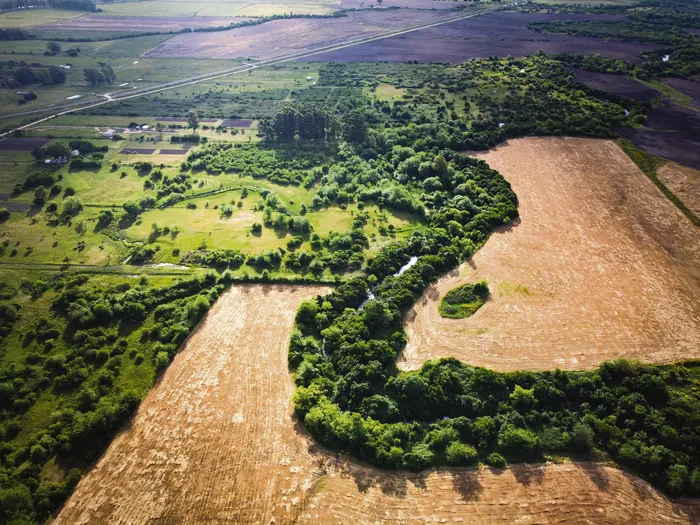 Arroyo Canelón Chico. Foto: Gianni Schiaffarino