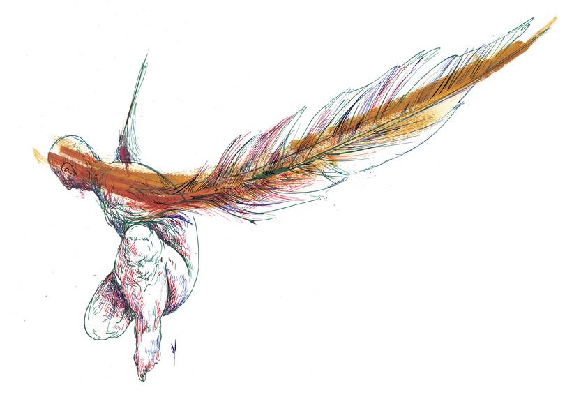 Fe de erratas, ilustración