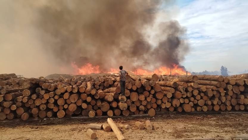 20230126 Incendio