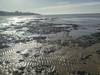 20230307 col playa los pinos