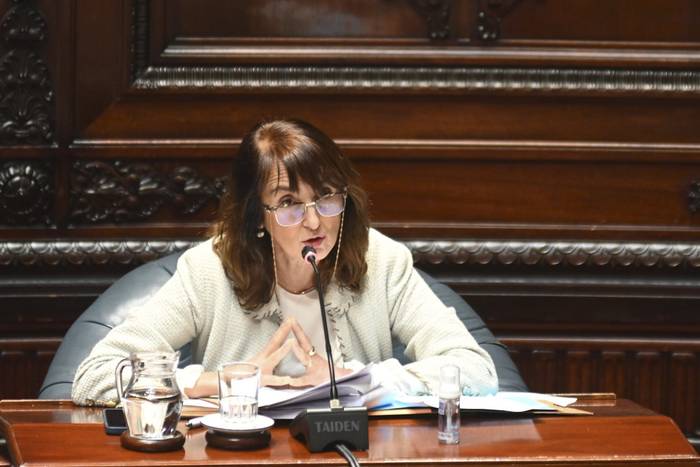 Carmen Asiaín durante la sesión del senado que trata el desafuero de Gustavo Penadés. · Foto: Mara Quintero