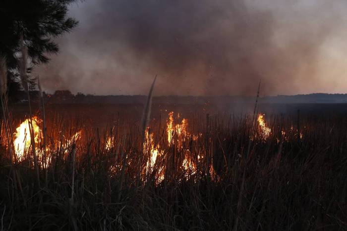 Incendio en la Laguna del Diario. Foto: Intendencia de Maldonado