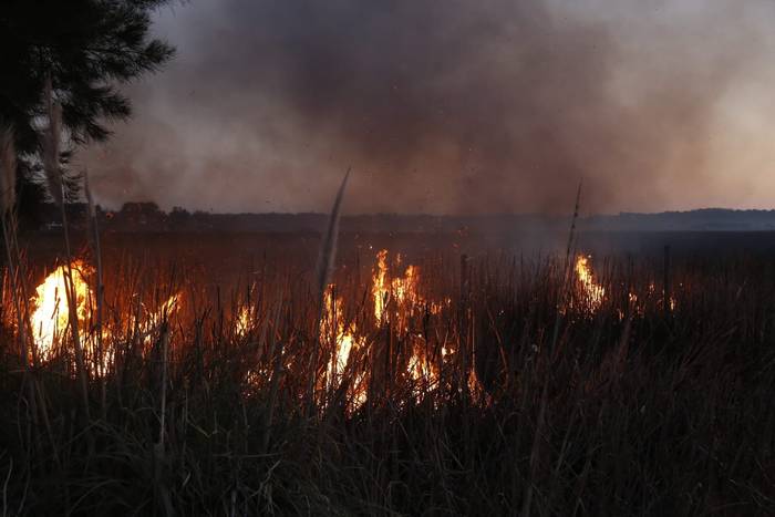 Incendio en la Laguna del Diario. Foto: Intendencia de Maldonado.