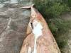 20230927 ballena 3