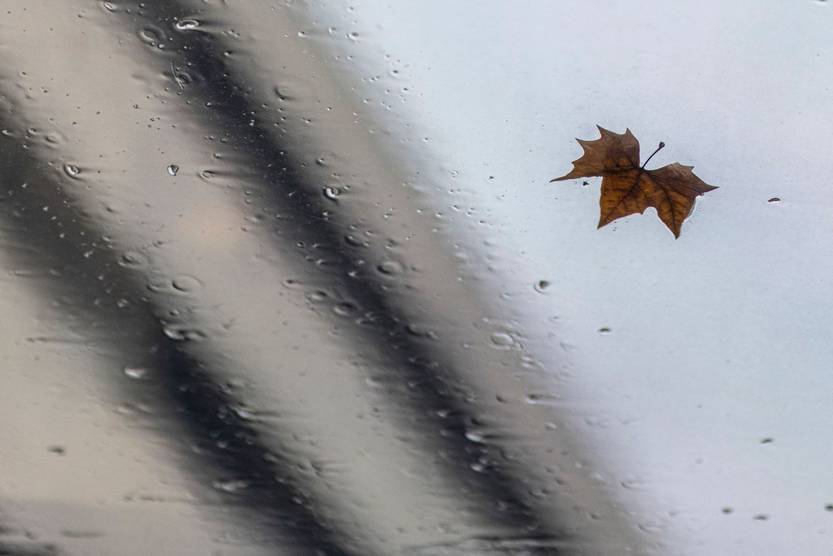 20240320 otoño