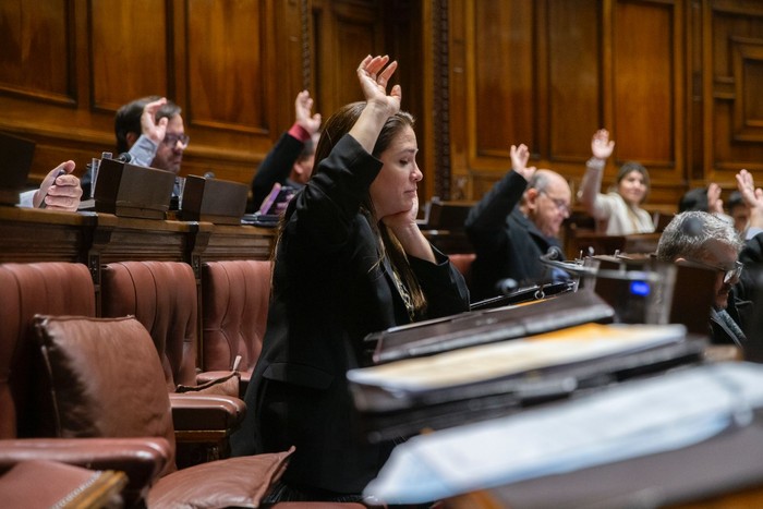 María Eugenia Roselló, el 4 de junio, durante la sesión extraordinaria en el plenario de la Cámara de Diputados. · Foto: Ernesto Ryan