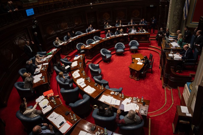 Votación en la Cámara de Senadores, el 14 de agosto. · Foto: Mara Quintero