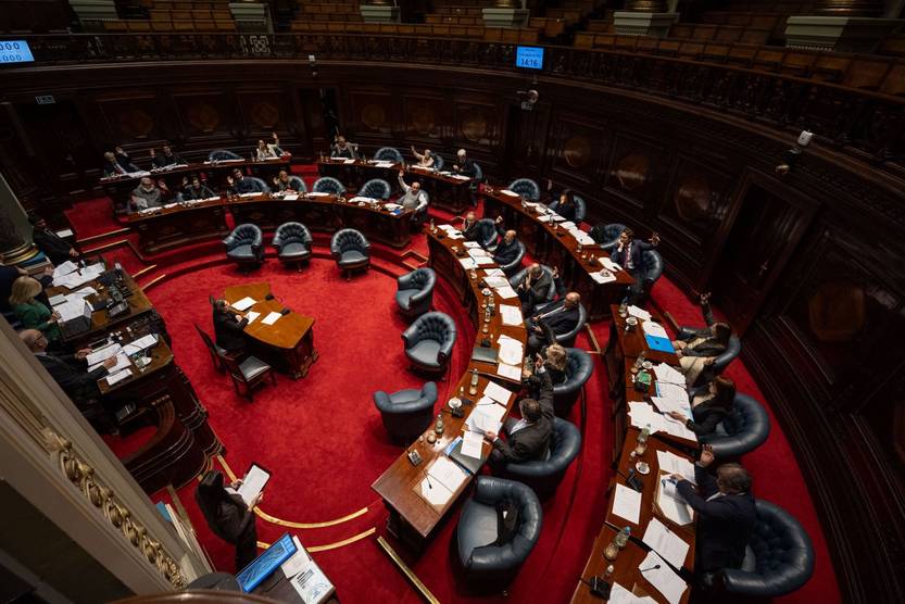 20240814 senado 4