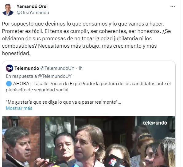 orsi tuit