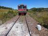 20250114 Tren 2