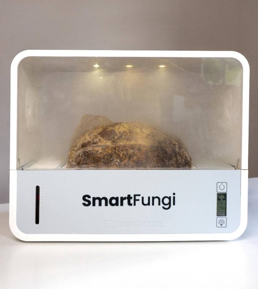 30 20250125 C&B Smart Fungi 2