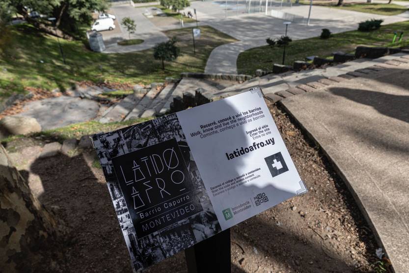 20250609 Latido Afro 3
