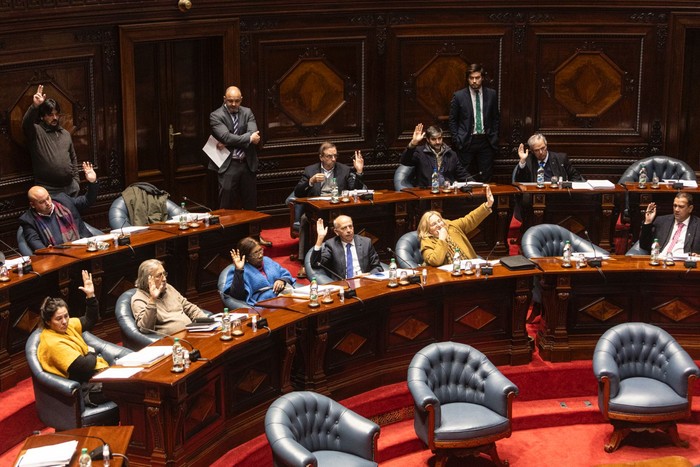 Plenario en la Cámara de Senadores, el 30 de junio. · Foto: Ernesto Ryan