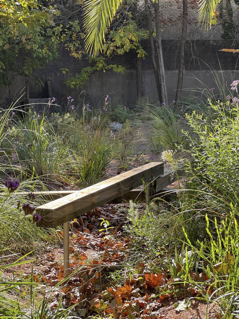 20251209 eac campo bravo 4