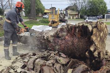 Trabajos en San Carlos. Foto: Intendencia de Maldonado