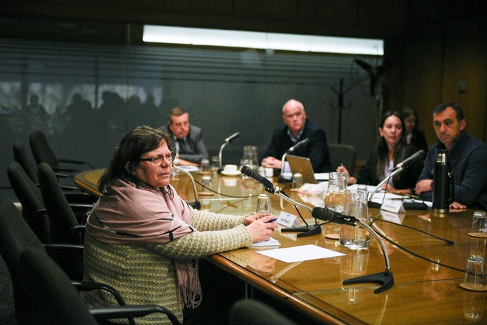Mónica Ferrero, el 13 de agosto, en la Comisión de Transporte, Comunicaciones y Obras Públicas. · Foto: Hugo de León