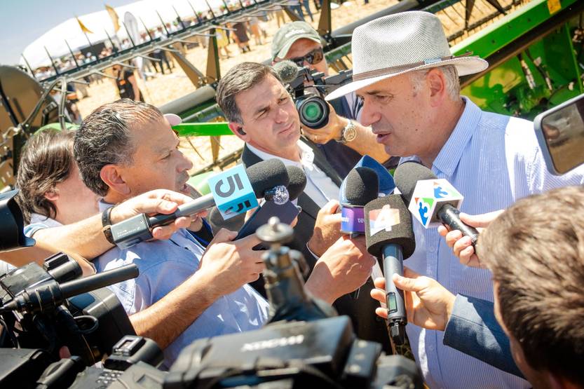 20251114 orsi cardama