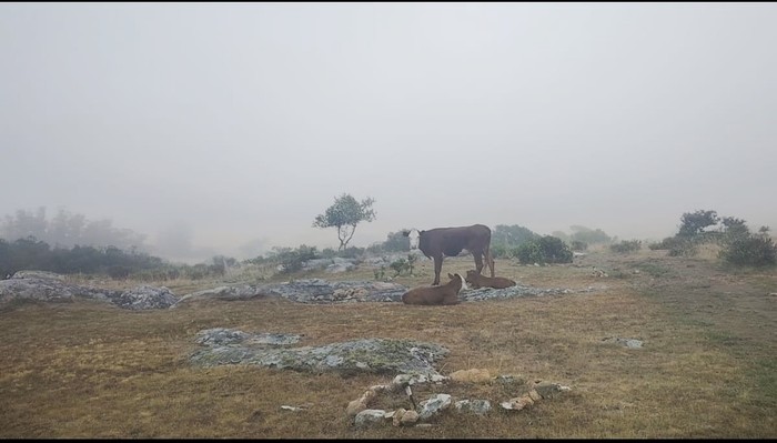 Sierra de los Caracoles. · Foto: Mónica Robaina