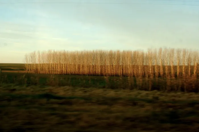 Foto principal del artículo 'Exposición fotográfica  “Juegos de la luz: La tarde de los pájaros”, de Javier Andrade, llega al Bastión del Carmen'