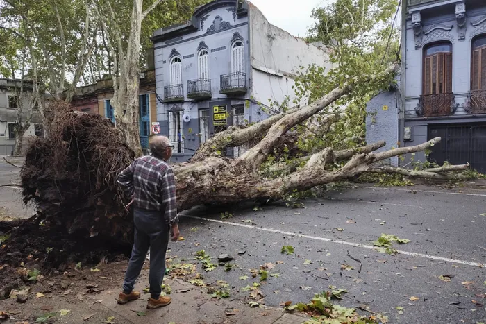 Calle Maldonado entre Acevedo Díaz y Mario Cassinoni, el 8 de abril, en Montevideo. · Foto: Pablo Vignali