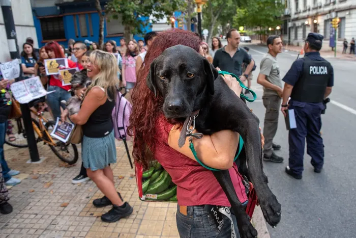 Concentración frente a la sede del Minsterio del Interior en repudio del asesinato de una perra llamada Eva en el barrio Ciudad Vieja por parte de un policía (archivo, enero de 2024). · Foto: Ernesto Ryan