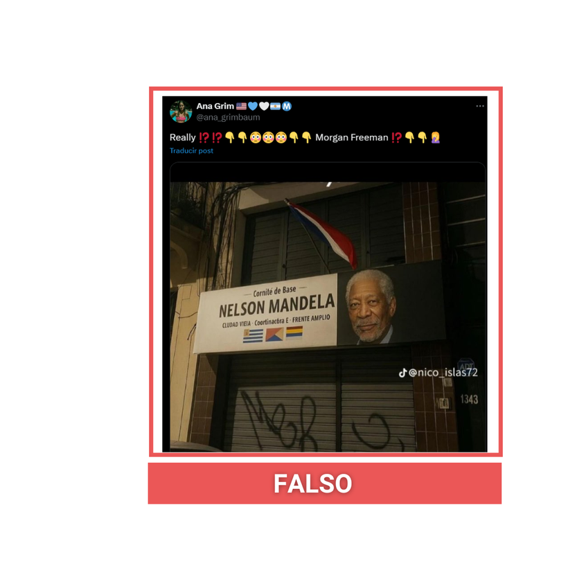 X fake mandela
