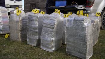 Incautación de drogas en una chacra de Montevideo rural. · Foto: Ministerio del Interior