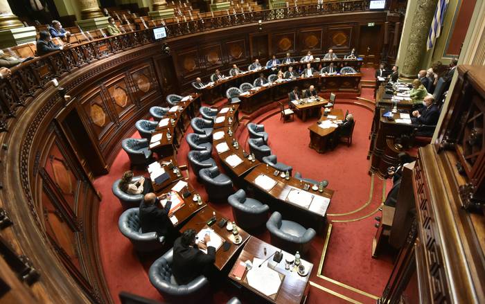 Cámara de Senadores, el 17 de noviembre, durante la interpelación. · Foto: Federico Gutiérrez