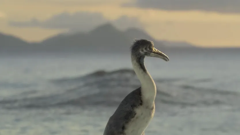 20260318 Ciencia dinosuarios 3