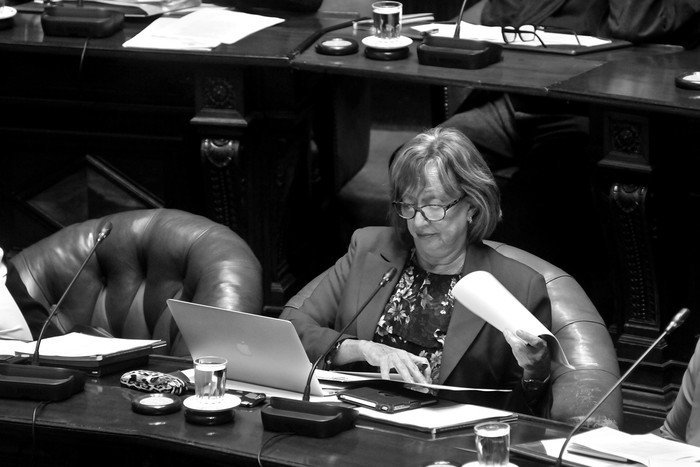 María Julia Muñoz, hoy, durante la interpelación. Foto: Federico Gutiérrez