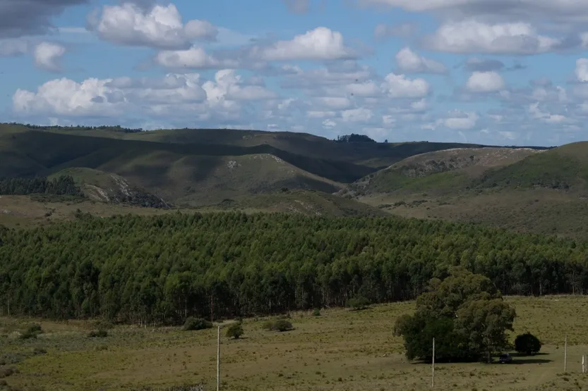 20260327 Isla Patrulla 1