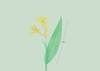 Lento 117 - Flora ornamental 03