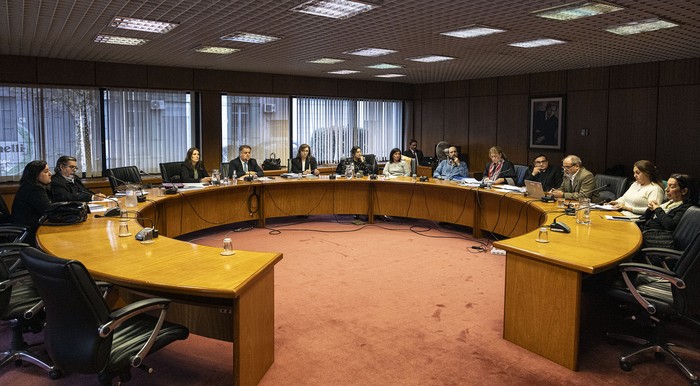 La Comisión de Defensa Nacional trata el tema de la Agencia Espacial, en el anexo del Palacio Legislativo (12.07.2023). · Foto: Ernesto Ryan