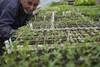 20221025 SUPLE AGROECOLOGIA foto B