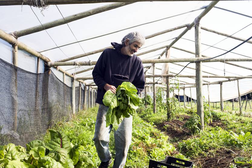 agroecologia RS79043_20210506SP_0006