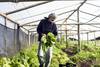 agroecologia RS79043_20210506SP_0006