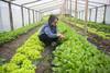 20221025 SUPLE AGROECOLOGIA nota apertura