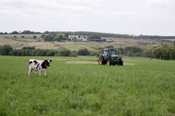 Aplicación de herbicidas en un campo con alfalfa, sobre la ruta 54, en el departamento de Colonia (archivo, enero de 2025). · Foto: Ignacio Dotti