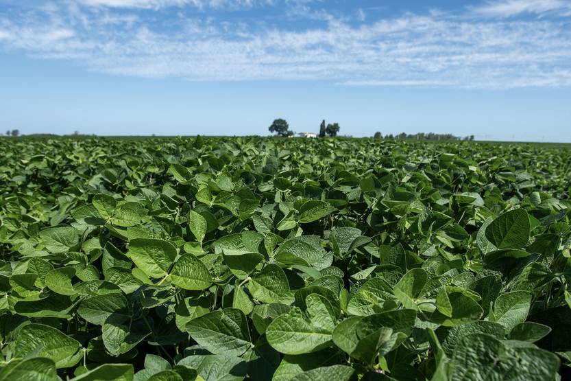 20250922 lunes ambiente 02