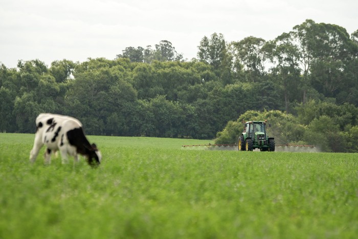 Aplicación de agroquímicos en un campo de alfalfa sobre la ruta 54, en Colonia (archivo, enero de 2025). · Foto: Ignacio Dotti