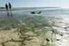 20250505 lunes agua