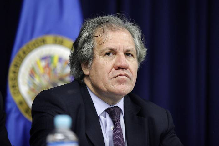 Luis Almagro (archivo, 2016). · Foto: Presidencia de El Salvador, AFP