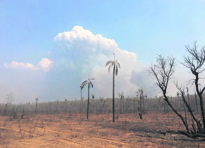 Incendios en la zona amazónica boliviana de San José de Chiquitos, en Santa Cruz, el 9 de setiembre. Foto: AFP, Gobierno de Santa Cruz.