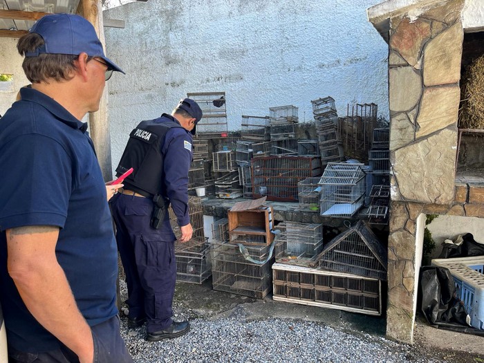 Incautación de aves en Lavalleja, abril de 2024. · Foto: Ministerio de Ambiente