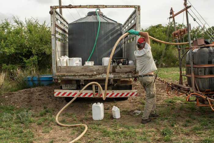 Aplicación de herbicidas en un campo con alfalfa, en Colonia (archivo, enero de 2025). · Foto: Ignacio Dotti Aplicación de herbicidas en un campo con alfalfa, en Colonia (archivo, enero de 2025). · Foto: Ignacio Dotti