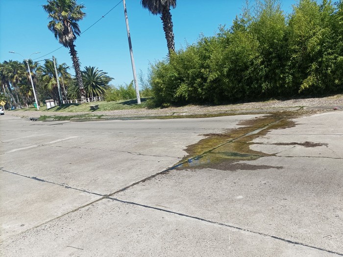 Parte de la contaminación en la rambla y faja de defensa de costas de La Floresta, diciembre de 2024. Foto: UNI3 Parte de la contaminación en la rambla y faja de defensa de costas de La Floresta, diciembre de 2024. Foto: UNI3