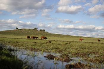 Alrededores de Tambores. Foto: Ramiro Barreiro, Diálogo Chino