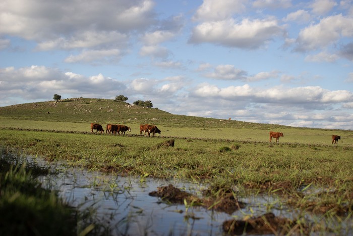 Alrededores de Tambores. Foto: Ramiro Barreiro, Diálogo Chino