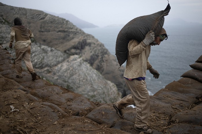 Extracción de guano en Isla Santa, Perú. · Foto: Ernesto Benavides, AFP