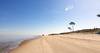 arazati RS132413_20220813mq_0029
